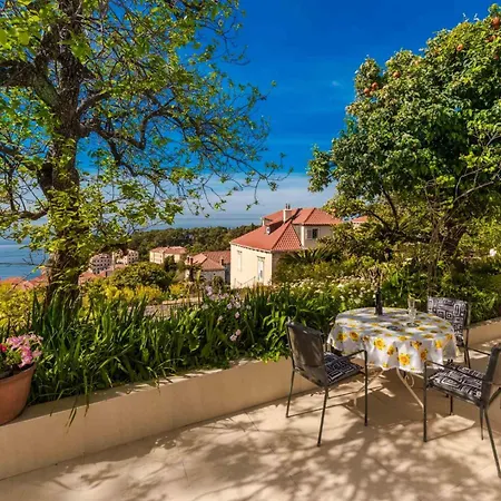 Star View * دوبروفينك