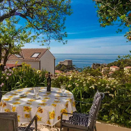 Star View * دوبروفينك