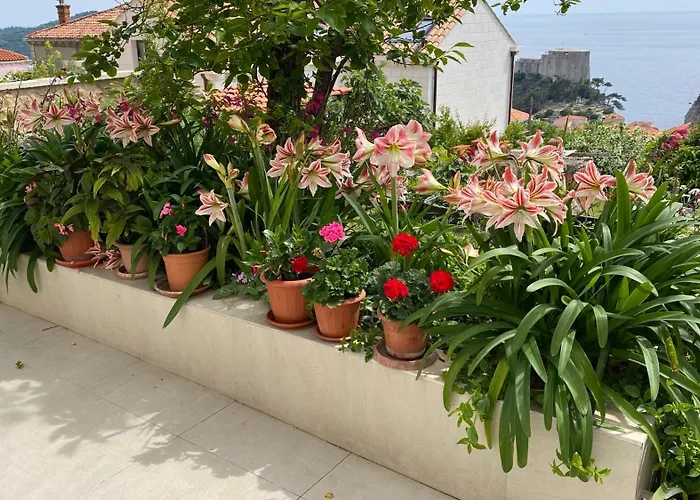 Star View Apartamento